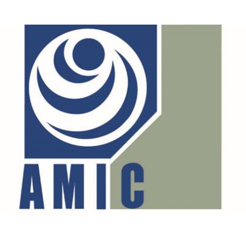 AMIC